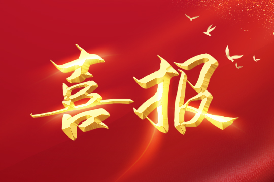 喜报 | bwin必赢荣登2024粤港澳大湾区企业创新力榜单